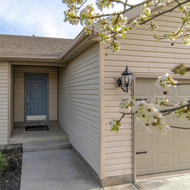 siding and door painters