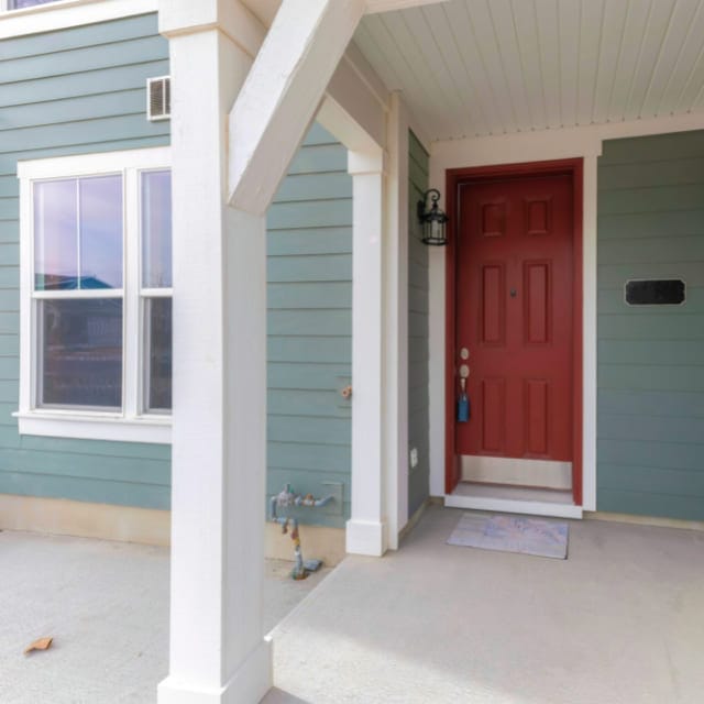 windows and door painters